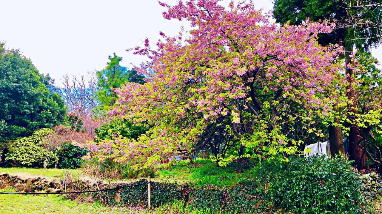 Forest Villa Olive Futo Extérieur photo