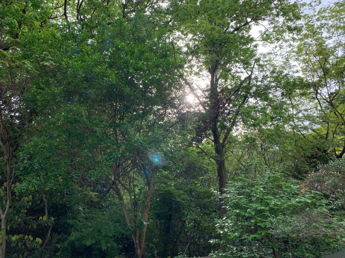 Forest Villa Olive Futo Extérieur photo